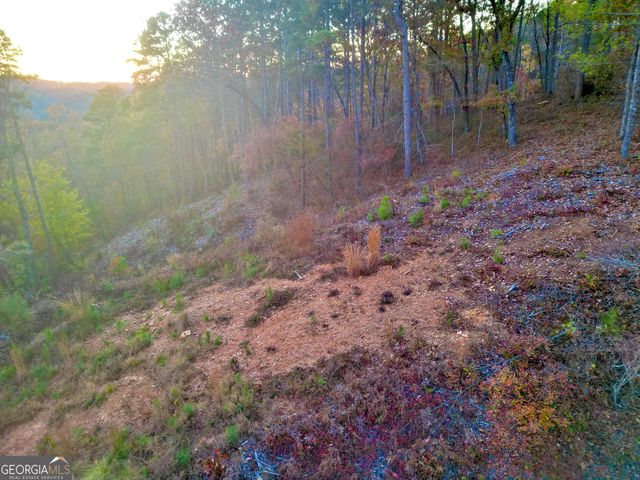 0 Canoe Way LOT 266, Talking Rock, GA 30175