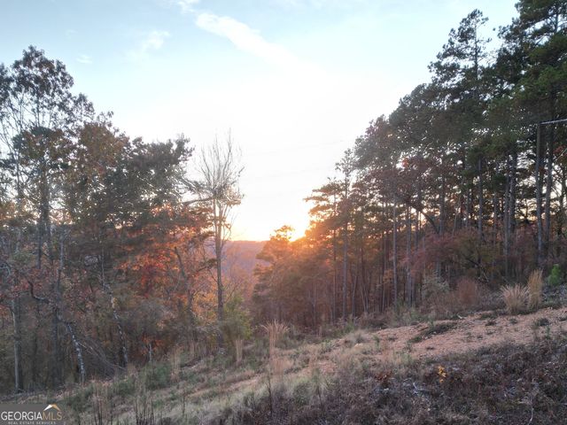 0 Canoe Way LOT 266, Talking Rock, GA 30175