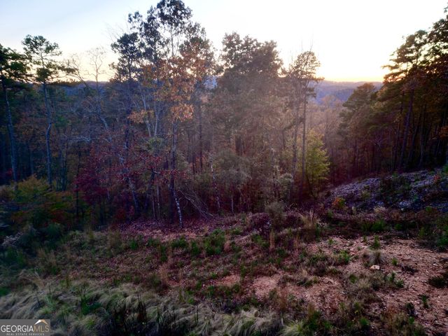 0 Canoe Way LOT 266, Talking Rock, GA 30175