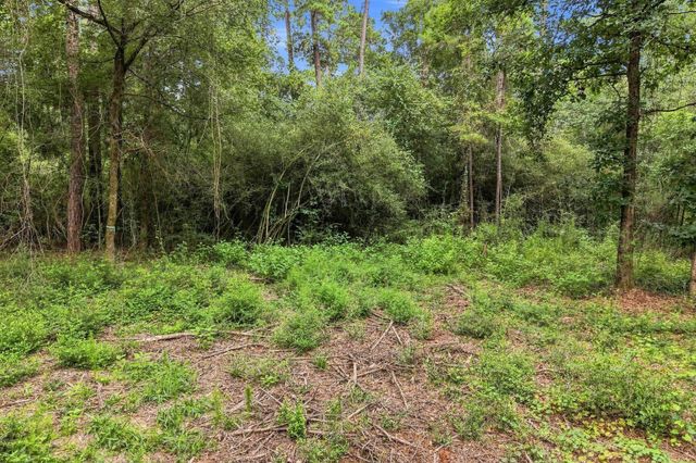 15890 Four Hills Road, Willis, TX 77378