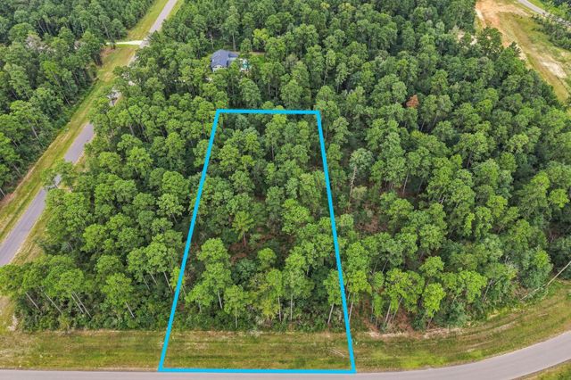 15890 Four Hills Road, Willis, TX 77378