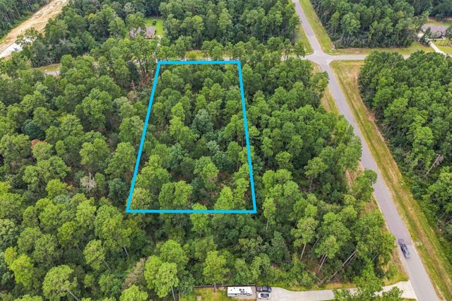 15890 Four Hills Road, Willis, TX 77378