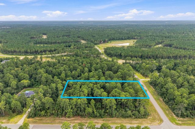 15890 Four Hills Road, Willis, TX 77378