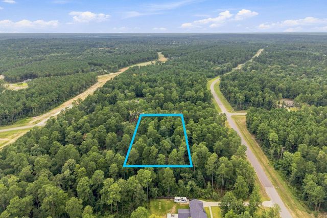 15890 Four Hills Road, Willis, TX 77378