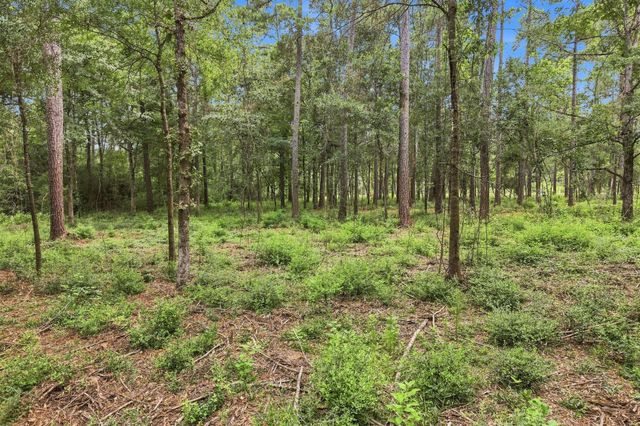 15890 Four Hills Road, Willis, TX 77378