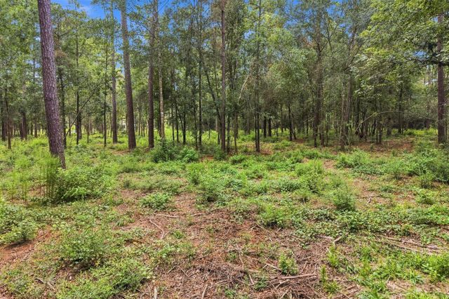 15890 Four Hills Road, Willis, TX 77378