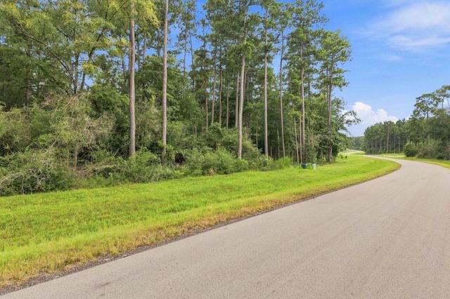 15890 Four Hills Road, Willis, TX 77378