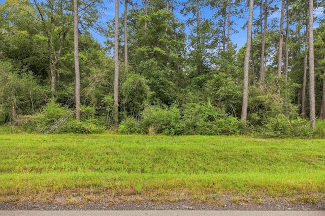 15890 Four Hills Road, Willis, TX 77378