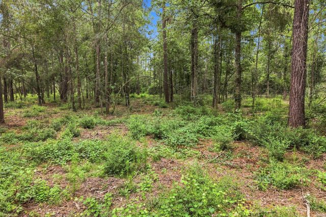 15890 Four Hills Road, Willis, TX 77378