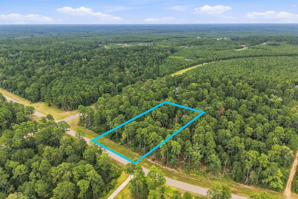 15890 Four Hills Road, Willis, TX 77378