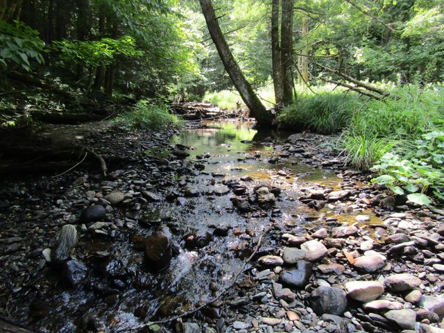 1285 Witchcat Road, Bakersfield, VT 05441