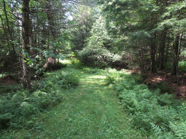 1285 Witchcat Road, Bakersfield, VT 05441