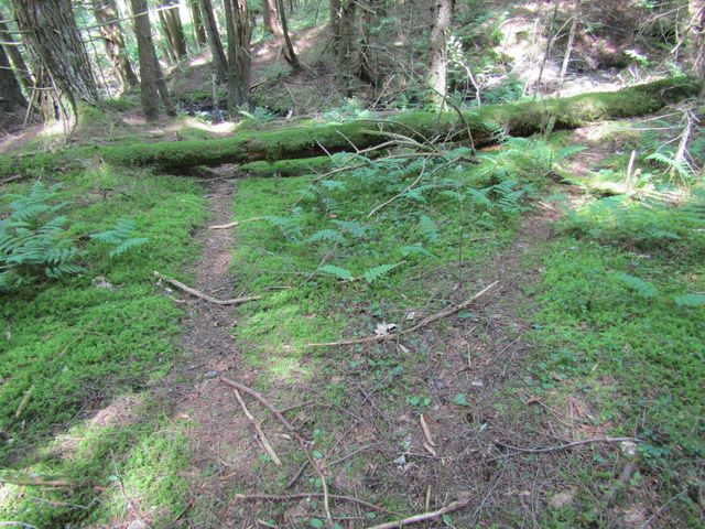 1285 Witchcat Road, Bakersfield, VT 05441