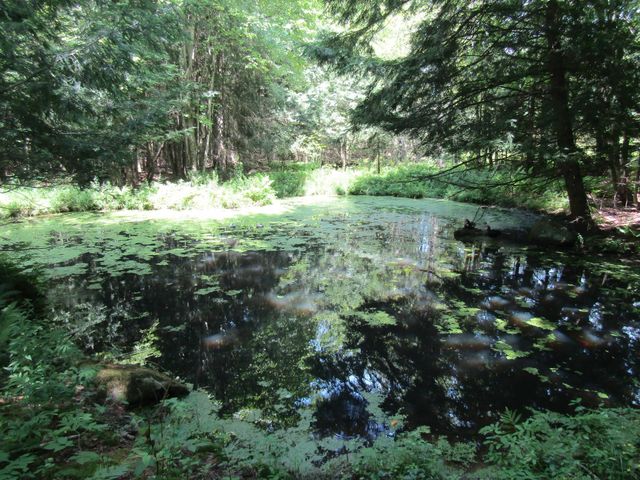 1285 Witchcat Road, Bakersfield, VT 05441