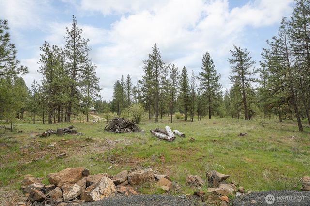 35315 S Bootstrap Ln, Cheney, WA 99004