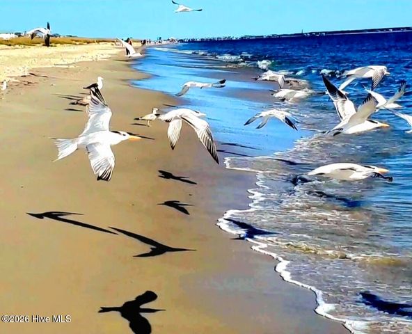 4928 Abbington Oaks Way SE, Southport, NC 28461