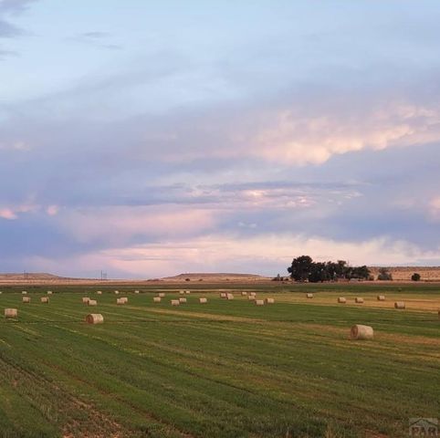 43948 Hunsaker Rd, Avondale, CO 81022