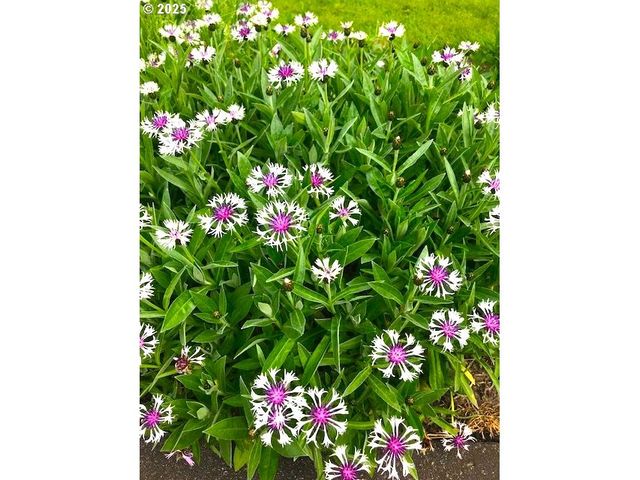 212 Nw 5th Ave, John Day, OR 97845