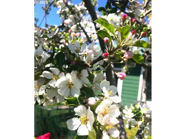 212 Nw 5th Ave, John Day, OR 97845