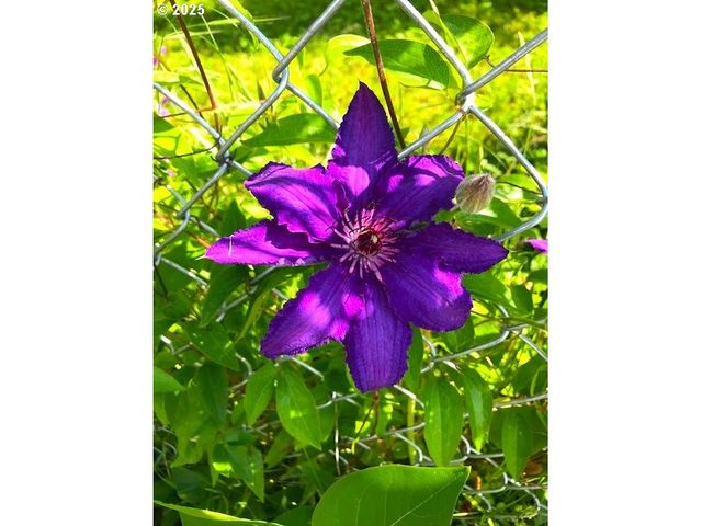 212 Nw 5th Ave, John Day, OR 97845