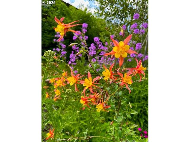 212 Nw 5th Ave, John Day, OR 97845