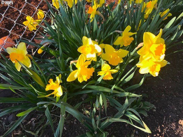 212 Nw 5th Ave, John Day, OR 97845