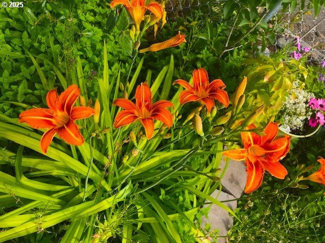 212 Nw 5th Ave, John Day, OR 97845