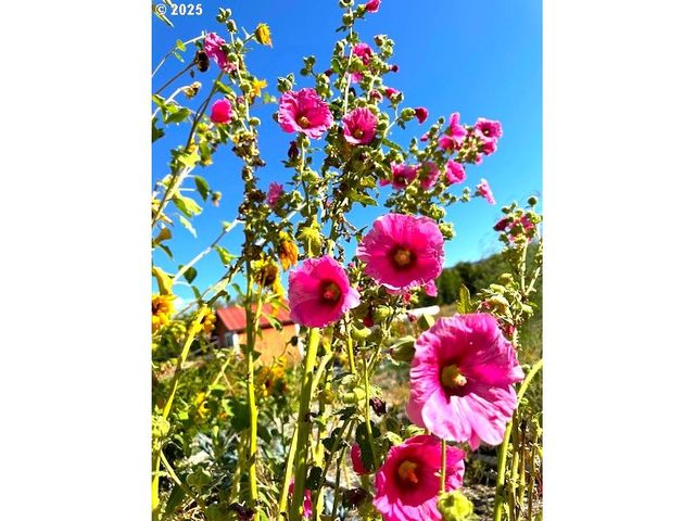 212 Nw 5th Ave, John Day, OR 97845