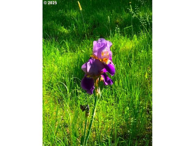 212 Nw 5th Ave, John Day, OR 97845