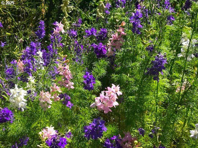 212 Nw 5th Ave, John Day, OR 97845