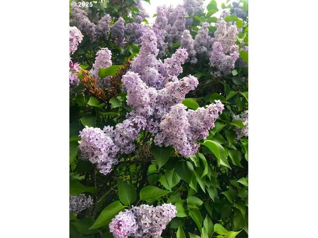 212 Nw 5th Ave, John Day, OR 97845