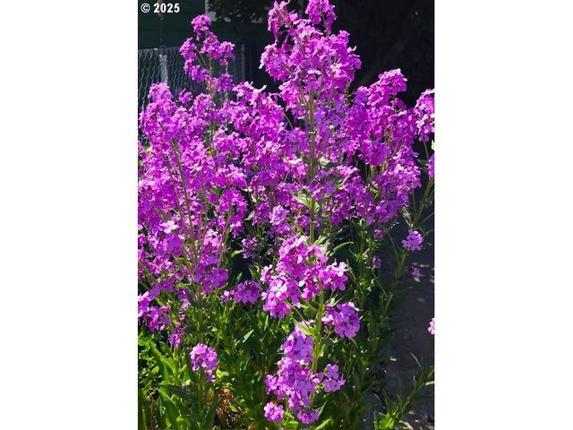 212 Nw 5th Ave, John Day, OR 97845