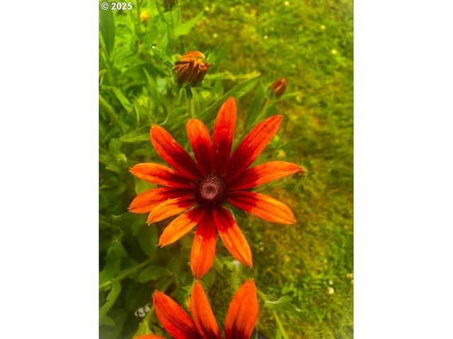 212 Nw 5th Ave, John Day, OR 97845