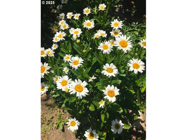 212 Nw 5th Ave, John Day, OR 97845