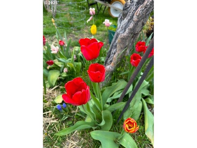 212 Nw 5th Ave, John Day, OR 97845