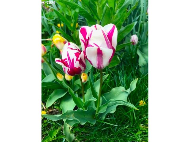 212 Nw 5th Ave, John Day, OR 97845