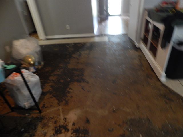 4956 COTTONWOOD AVE, Memphis, TN 38118