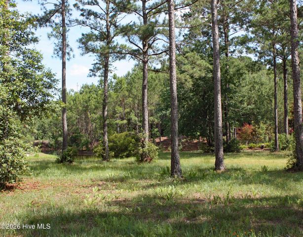 738 Highgate Place SW, Ocean Isle Beach, NC 28469