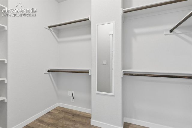 1923 Volterra Way, Colorado Springs, CO 80921