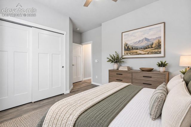 1923 Volterra Way, Colorado Springs, CO 80921