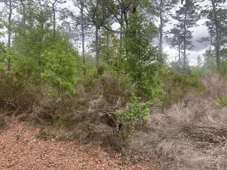 0 Somerset Ave, Interlachen, FL 32148