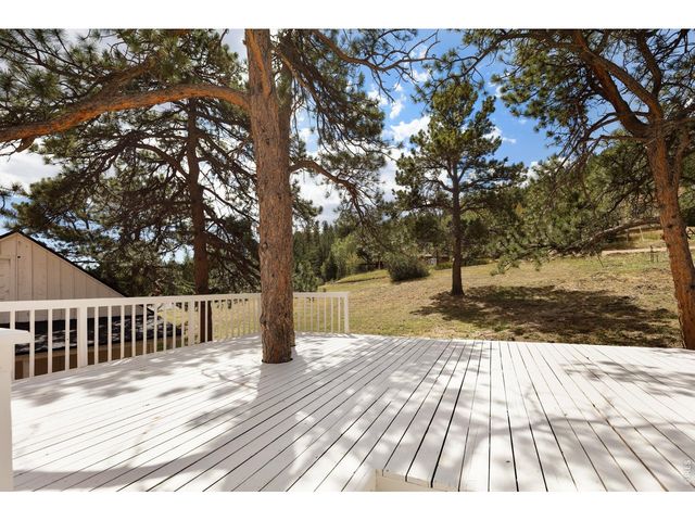 465 Deer Ln, Lyons, CO 80540