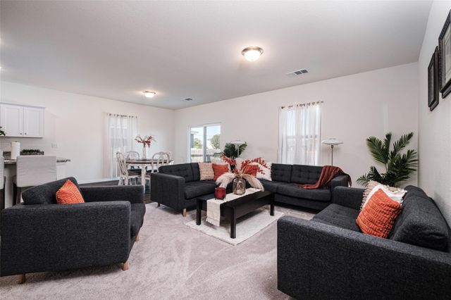 14512 Shooter McGavin DR, Manor, TX 78653