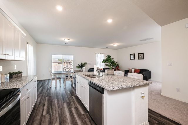 14512 Shooter McGavin DR, Manor, TX 78653