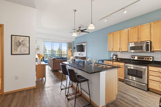 4525 Park Commons Drive 217, Saint Louis Park, MN 55416