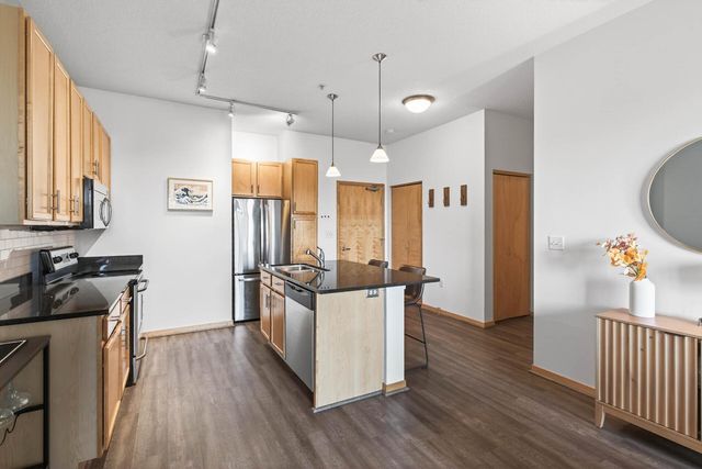 4525 Park Commons Drive 217, Saint Louis Park, MN 55416