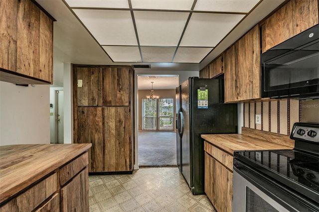 3916 CASABA LOOP, Valrico, FL 33596
