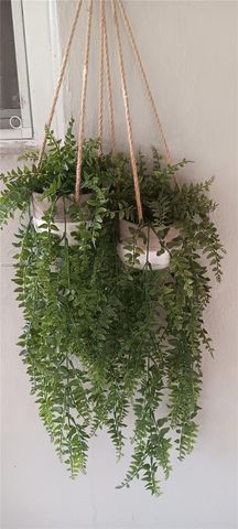 1600 SW 14th St, Fort Lauderdale, FL 33312