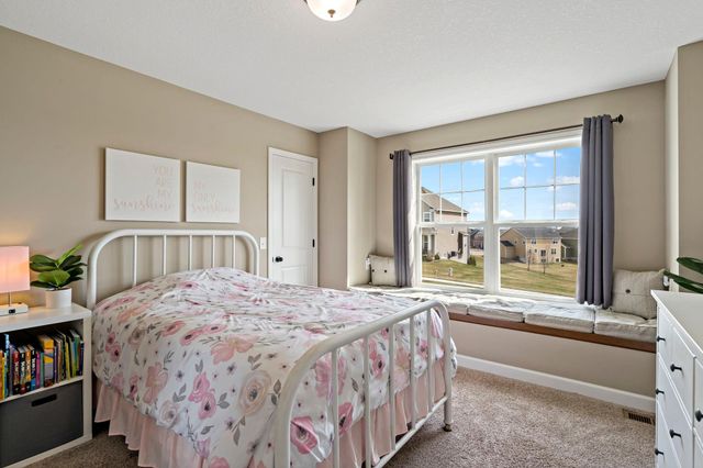 3894 Carver Path, Chaska, MN 55318