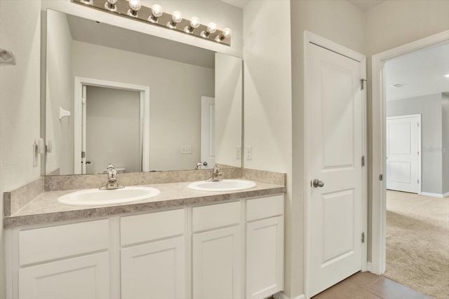 12029 MYRTLE ROCK DRIVE, Riverview, FL 33578